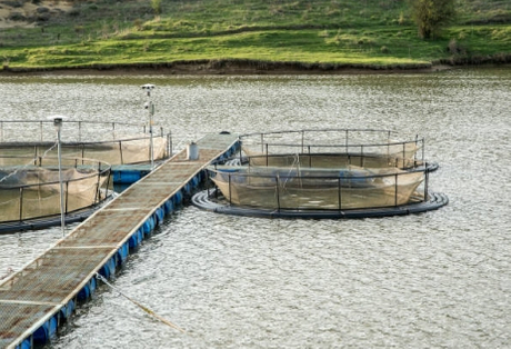 Is Sewage Treatment Used in Undeveloped Countries.jpg