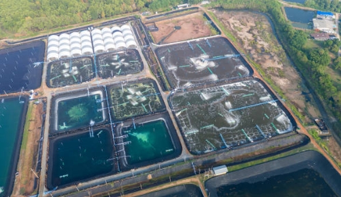 What Occurs in Tertiary Sewage Treatment
