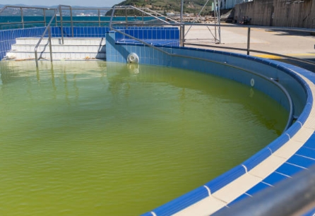 What Is A Sewage Treatment Plant Definition