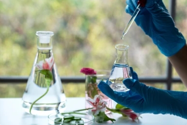 Phosphoric Acid Exporters Italy
