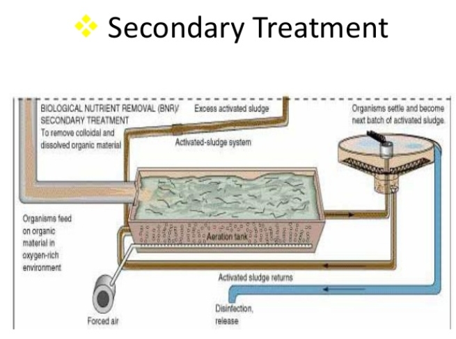 A Secondary Sewage Treatment Plant outside New York City_1
