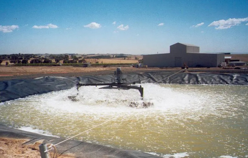 why are bacteria used in sewage treatment_2.jpg