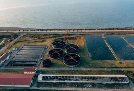 Which Is The Principle Behind Wetlands-based Sewage Treatment Systems