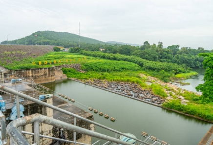 What Is Microorganism Used for Sewage Treatment