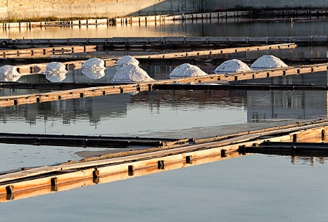 Why Is Sewage Treatment Important for Aquatic Health