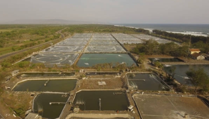What Does Tertiary Treatment of Sewage Treatment Do