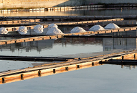 //irrorwxhpqjqln5m.ldycdn.com/cloud/lpBppKnploSRilrlioqkjq/What-Is-The-Biggest-Problem-in-Sewage-Treatment-Plants.jpg