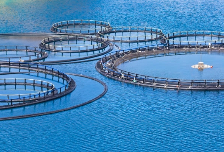 What Is The Definition of Sewage Treatment Plant.jpg