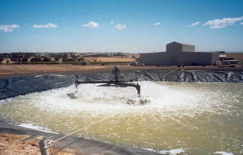 which bacteria is used in sewage treatment-_2.jpg