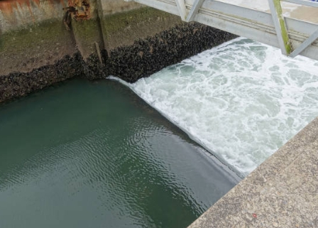 How To Make Working Model of Sewage Treatment Plant.jpg