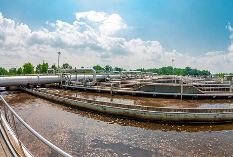 What Is The Principle Behind Wetlands-based Sewage Treatment Systems.jpg