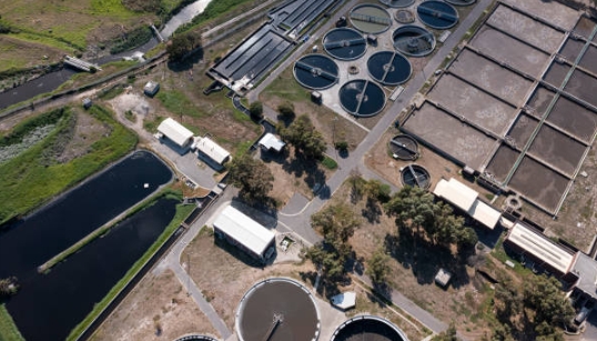 What Role Do Microbes Play in Sewage Treatment