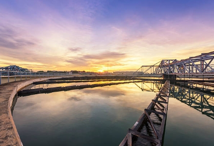 Why Are Bacteria Used in Sewage Treatment Plant
