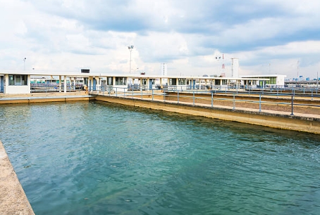 How Does Vitamin B12 (Cyanocobalamin) Affect Wastewater Microorganisms.jpg