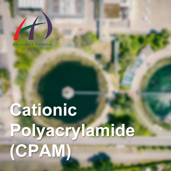 Cationic Polyacrylamide (CPAM)