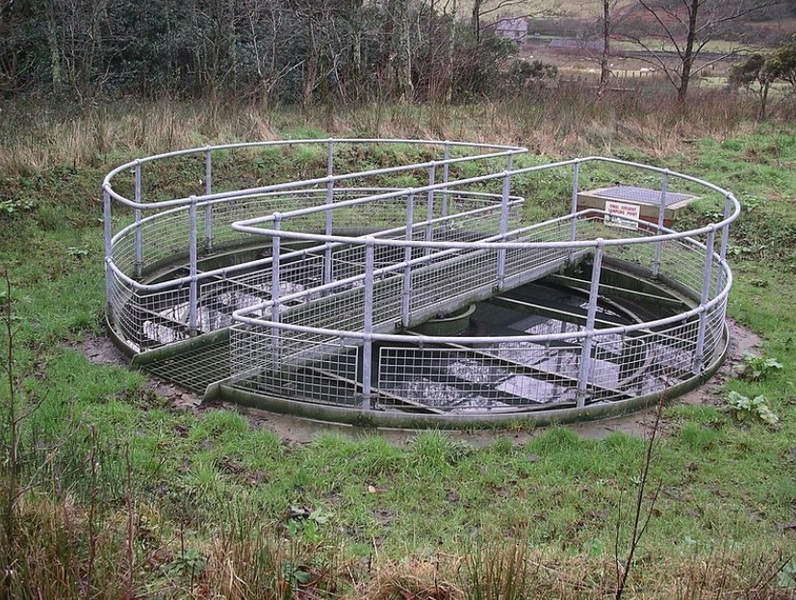 A Secondary Sewage Treatment Plant outside New York City_2.jpg