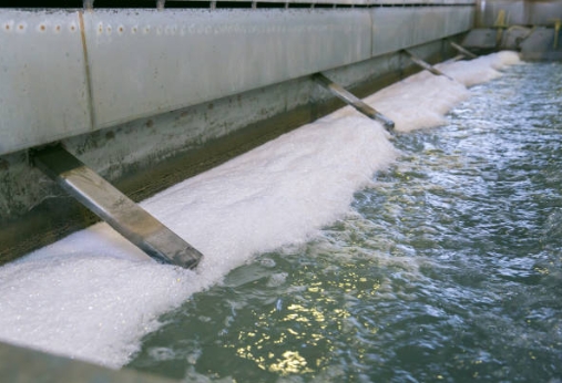 How Does The Reno Sparks Sewage Treatment Plant Work-_1