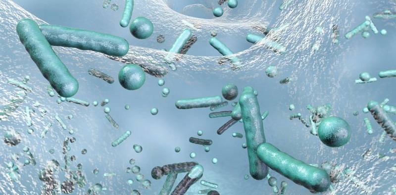 which bacteria is used in sewage treatment-_1