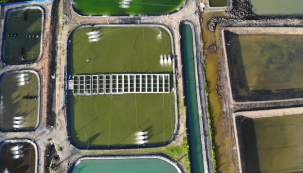 How Much Do Sewage Treatment Workers Get Paid