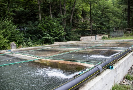 How Many Sewage Treatment Plant in India-_3