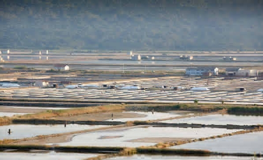 How Is Sewage Treatment in Philippines-_3