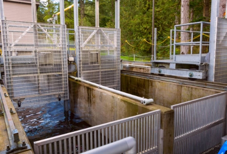 Where Is Dawsonvilles Sewage Treatment Plant Facility