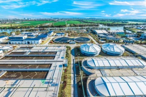 Which Bacteria Are Used in Sewage Treatment