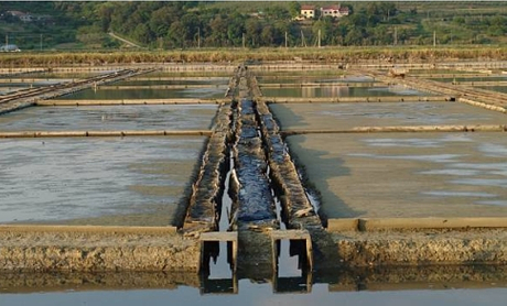 How To Reduce Ammonia in Sewage Treatment Plant.jpg