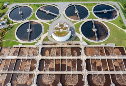 How Do Microbes Help in Sewage Treatment-