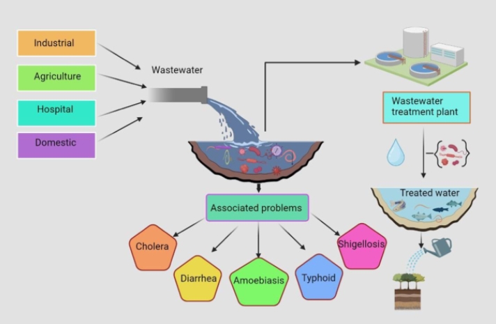 The Impact of Sewage Treatment on Public Health_1