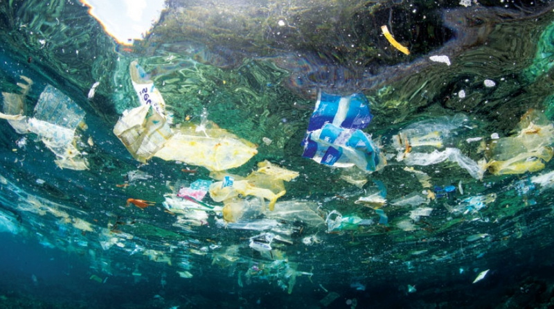 Does Plastic in The Ocean Clog Sewage Treatment Plants-_2