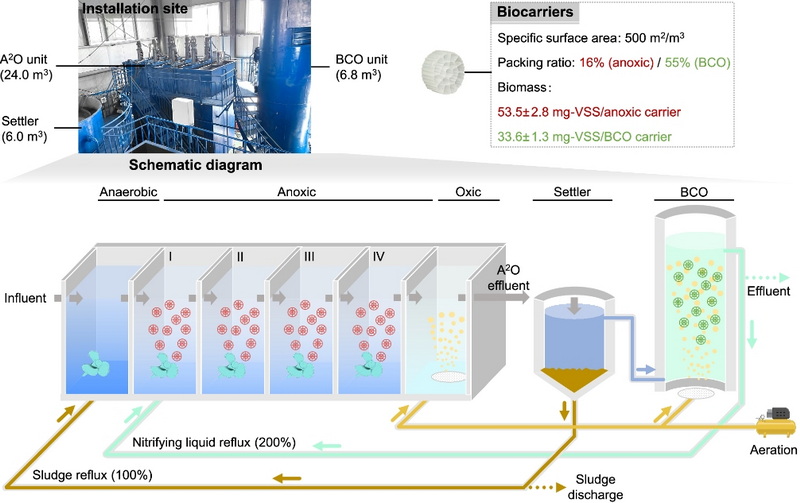 Do Pseudomonas Effect Settling in Sewage Treatment Facilities-_2